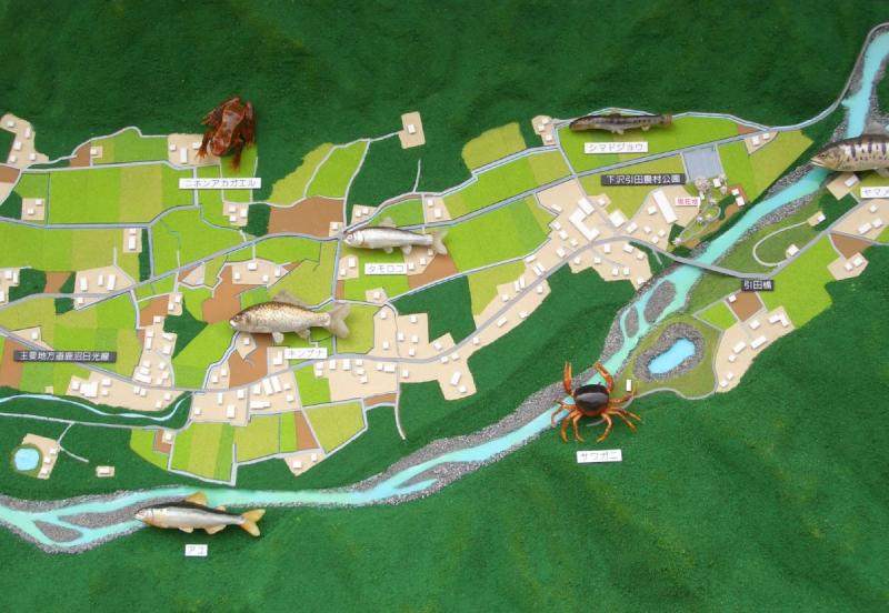 diorama-tuika4.jpg